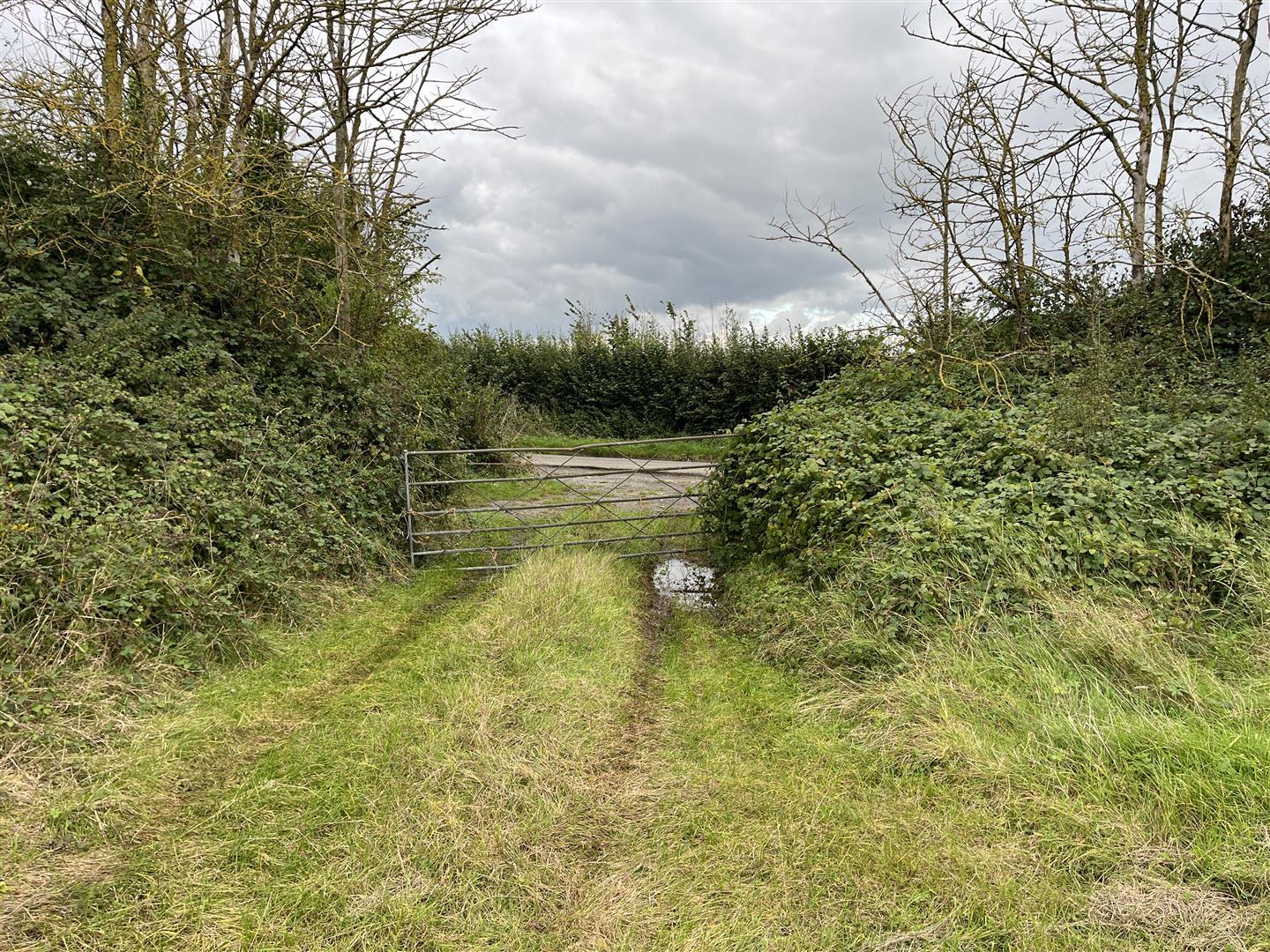 Property Image 7482db12-be79-4be8-8a9b-e937b9aa4ae2