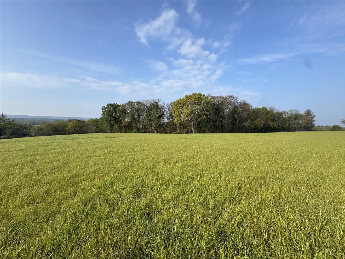 Property Image 748475ec-d520-4719-88ad-f8c864f2c2fe