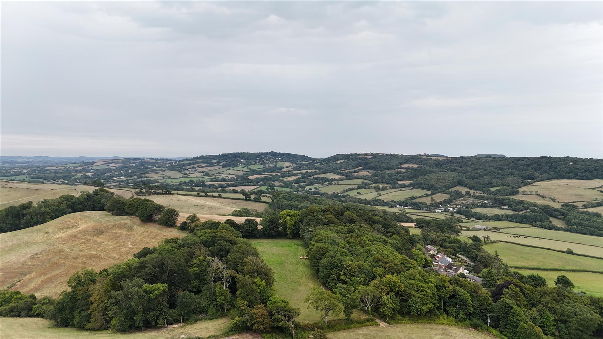 Property Image 748788ea-3d59-4cb5-8c8d-4f674ae2cd5b