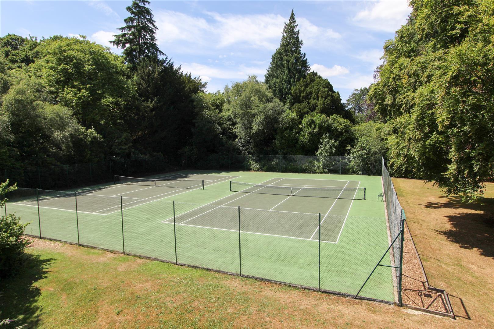 Property Image 74abb49d-ca22-4e14-95b7-5786783719da