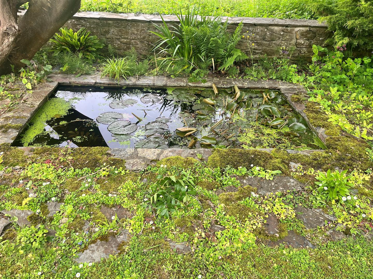 Property Image 74b030b9-a563-4b66-a4f5-837a1d93c574