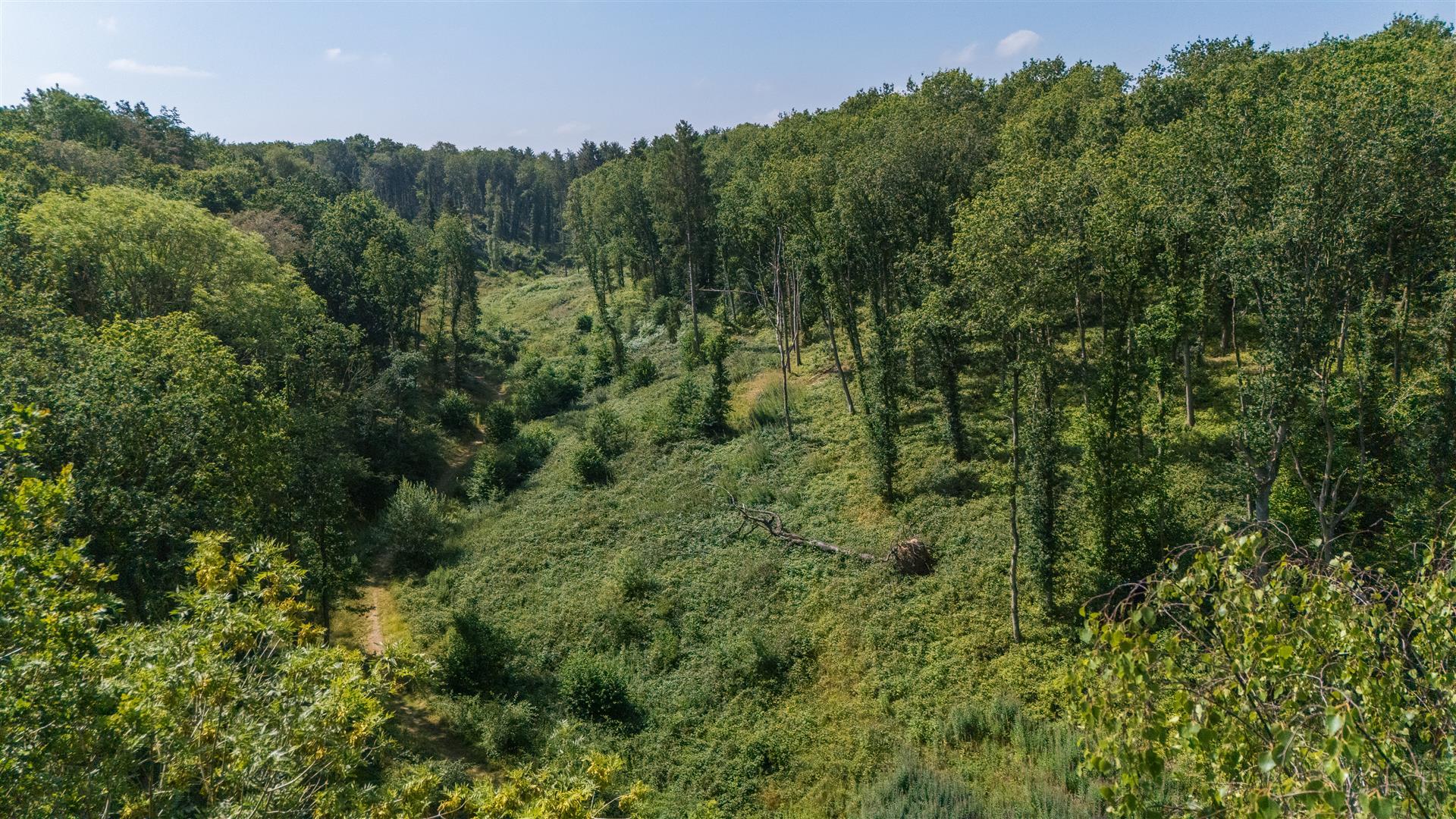 Image 10