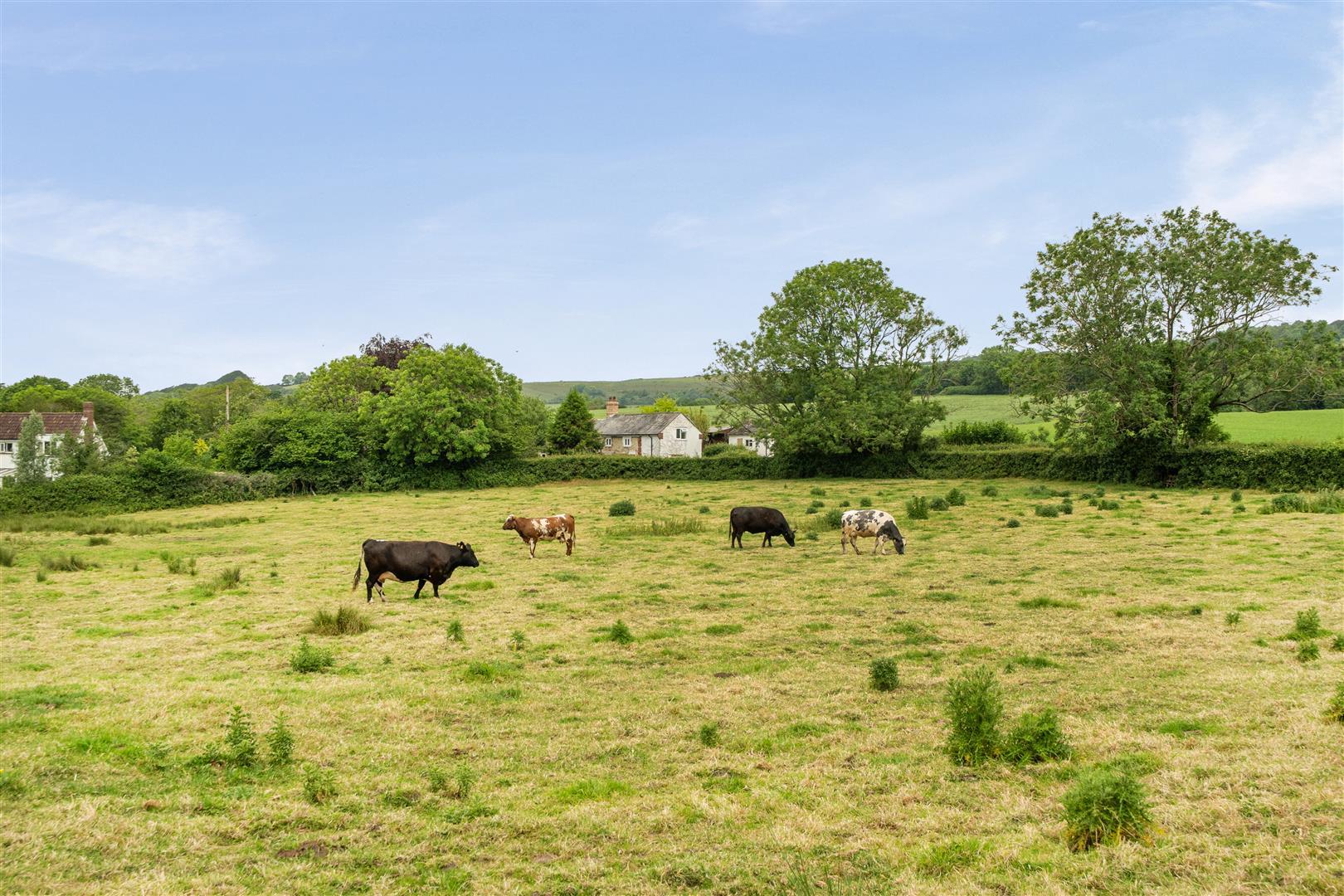 Image 28