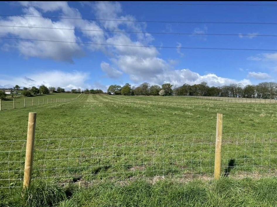 Property Image 74de4432-9f8d-4298-a323-79e6cad9efc8