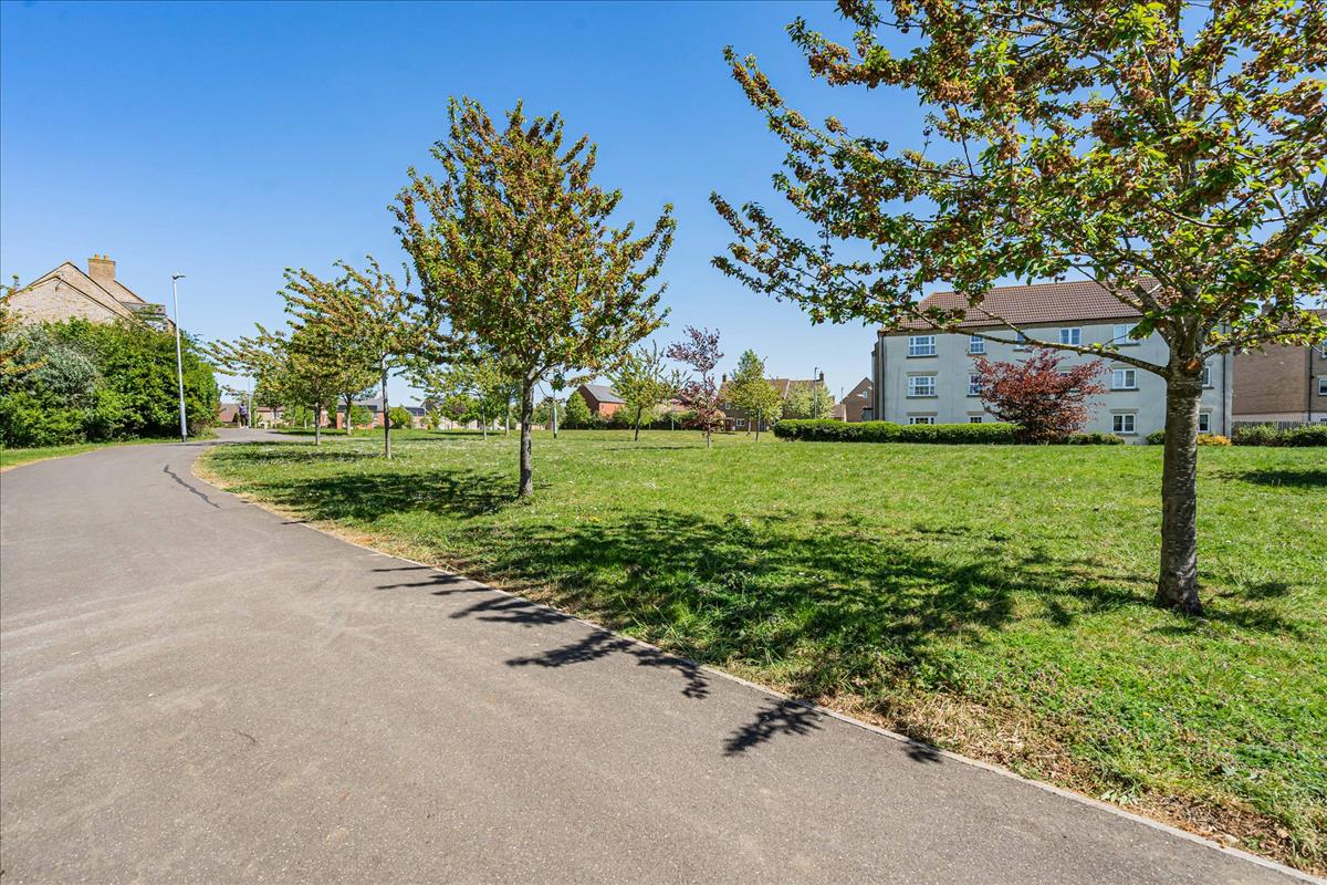 Property Image 74ee21bb-7c62-4c97-81bf-96a6e474f7a2