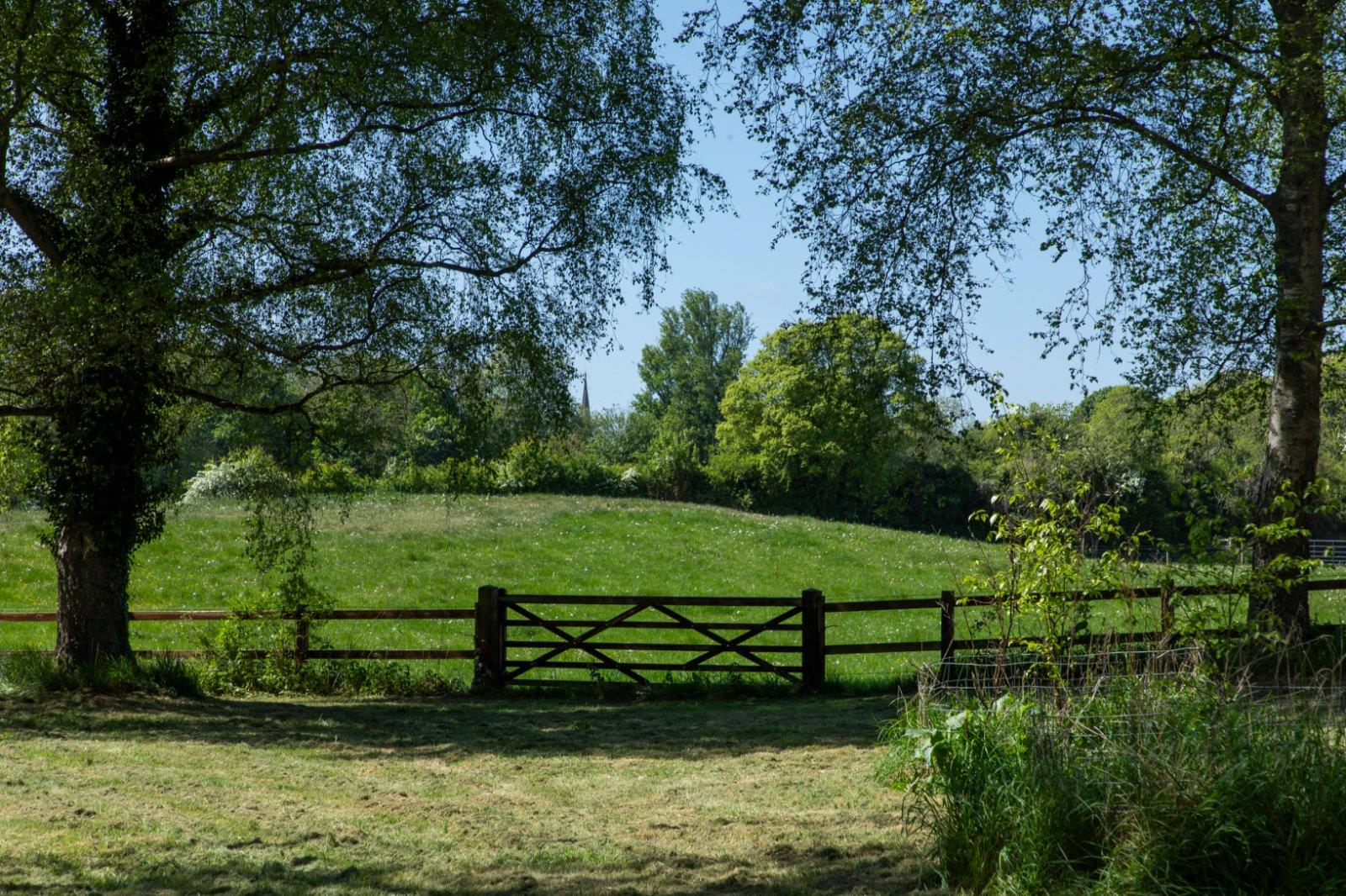 Property Image 74f69277-e717-4aea-8572-3910c4127072