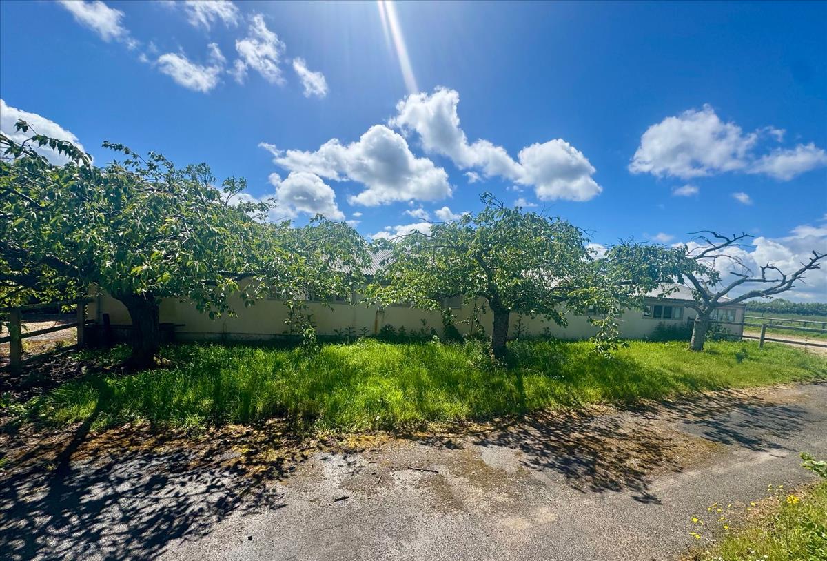 Property Image 750bb1d9-3cfc-4222-bde6-6bae90f191a0