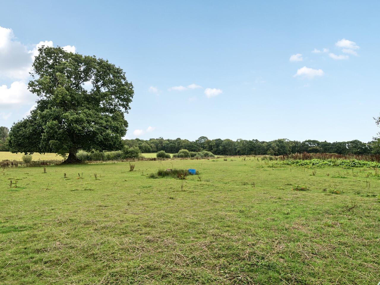 Property Image 750bd638-d057-427d-a47c-15c8bb65ef7c