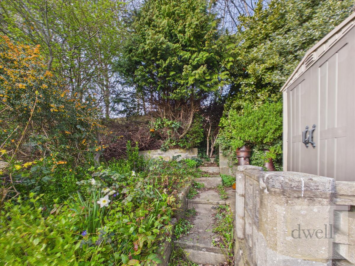 Image 15