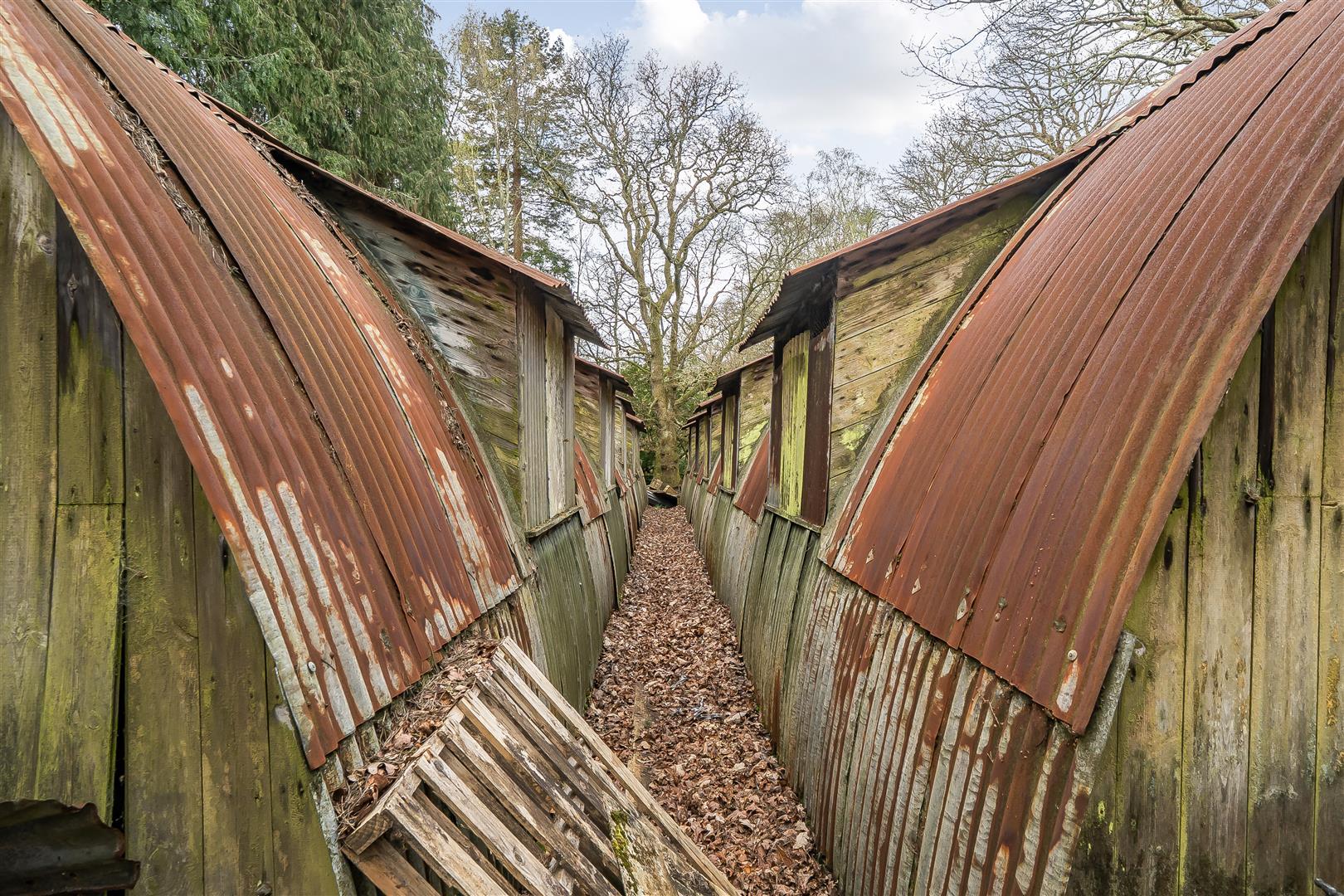 Property Image 75872b09-87ba-40ca-9fe7-916fe45a4c1a