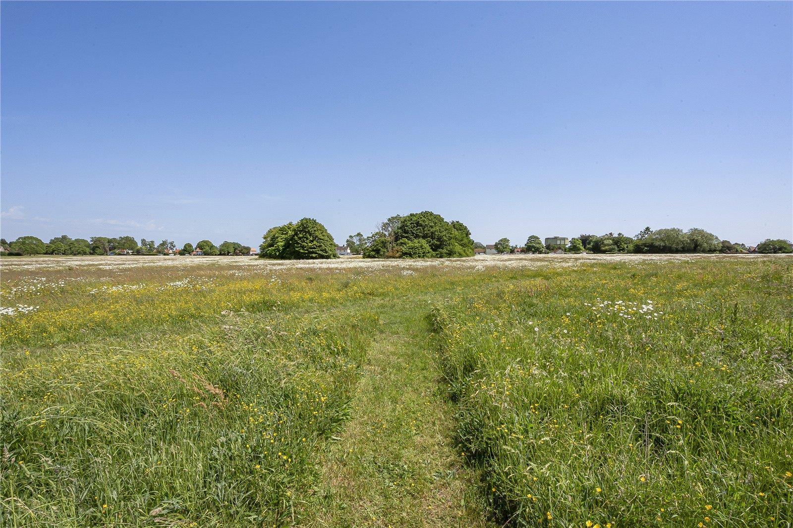 Property Image 758967eb-614e-4a28-ae15-34a9dfe99a23
