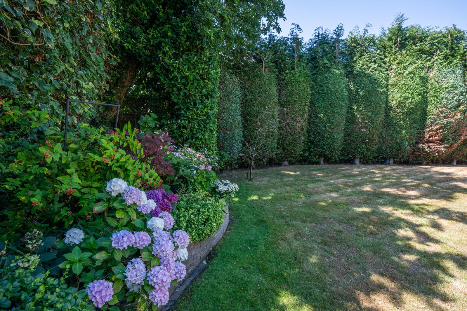Property Image 75a508f9-077c-4e15-871b-f1b048ac6816