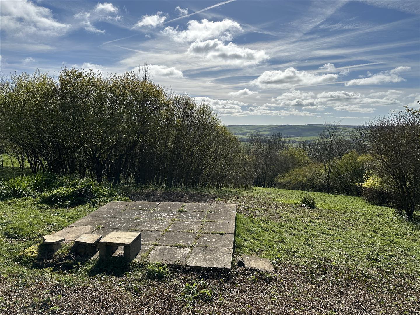 Property Image 75a839dc-5313-47e9-9038-d48b618ce9fa