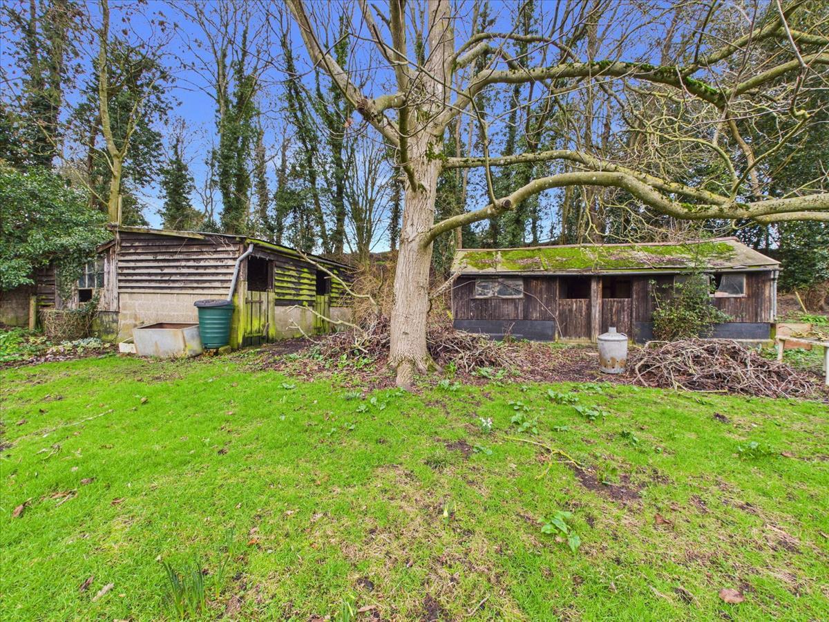 Property Image 75ae63b7-c0d3-4dff-b034-b678b1d2d8f7