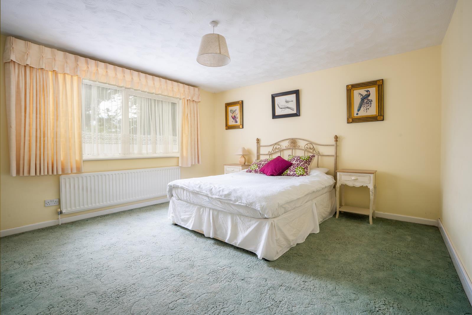 Property Image 75d25237-1354-49ee-a929-ffa51a71c9c2