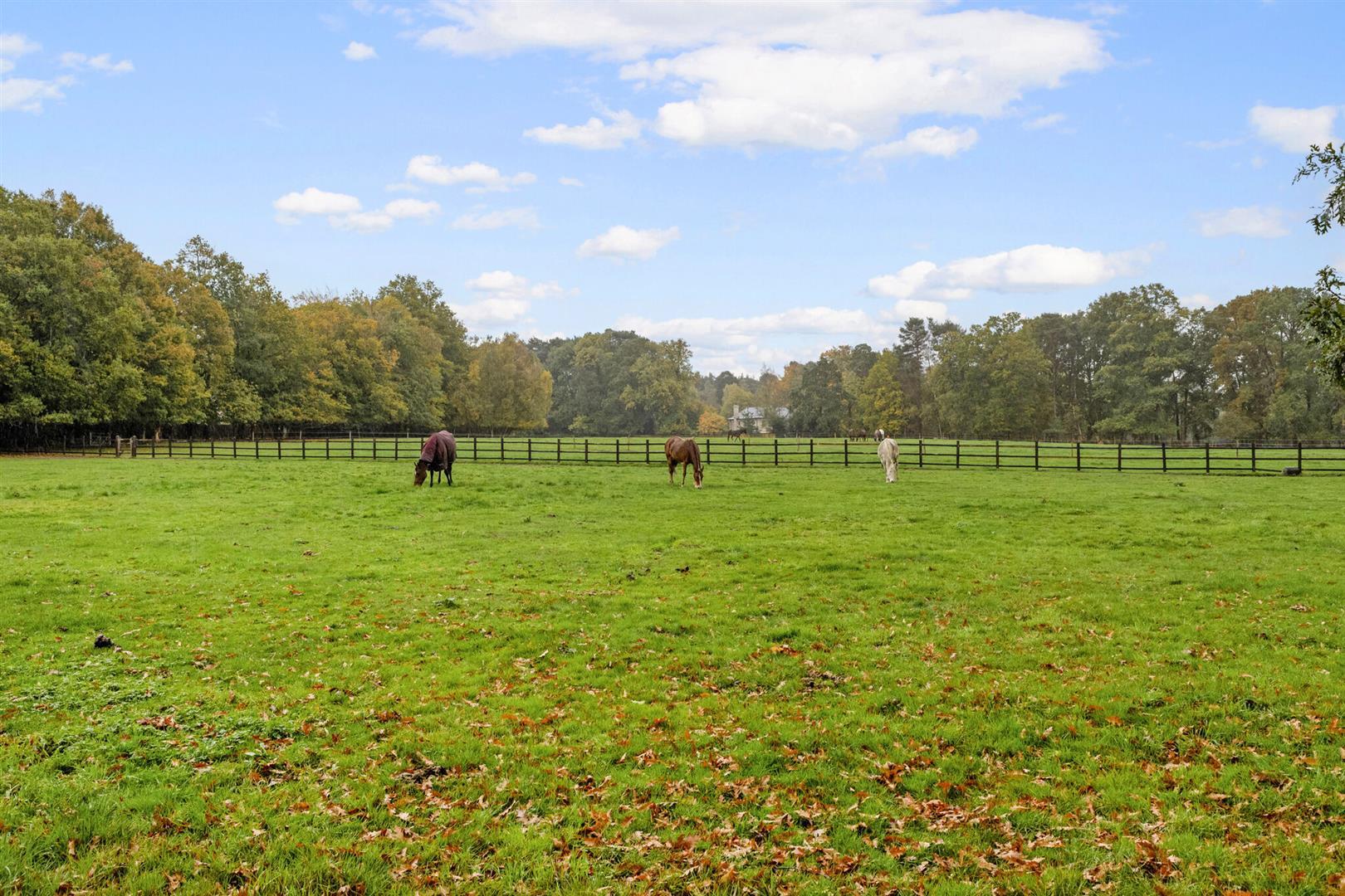 Property Image 761560c1-dc52-489f-96cd-9d6c14397339