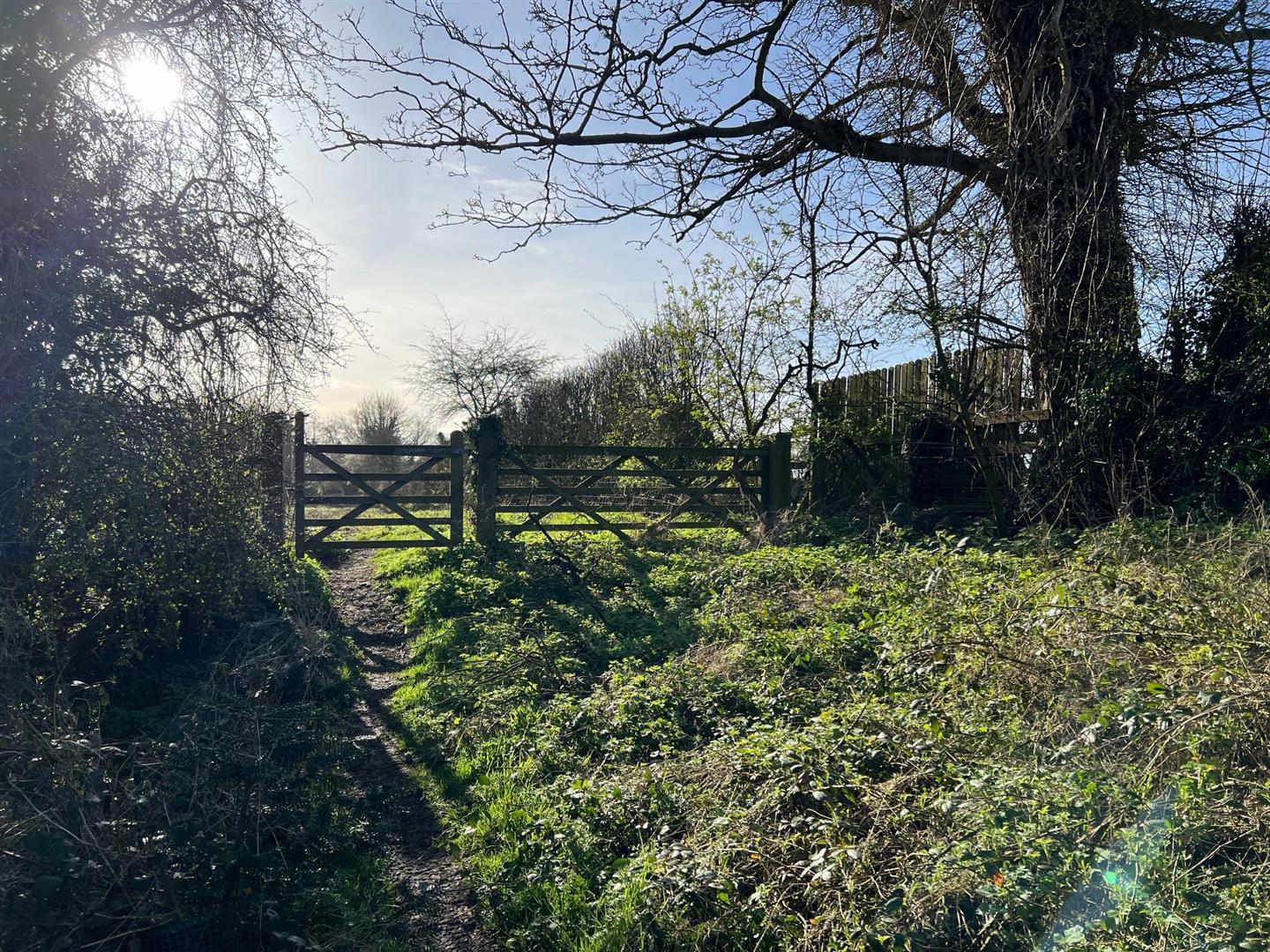 Property Image 7624c291-7f59-4d86-876c-effdacb8aded