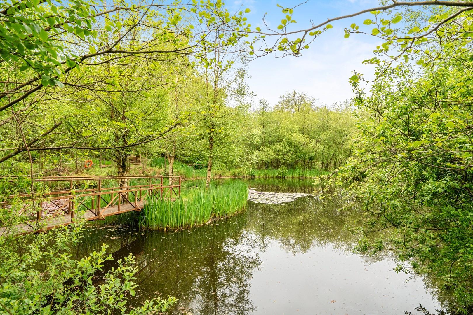 Property Image 76266ffb-b787-4ac8-8b56-5c1be9d4ac93