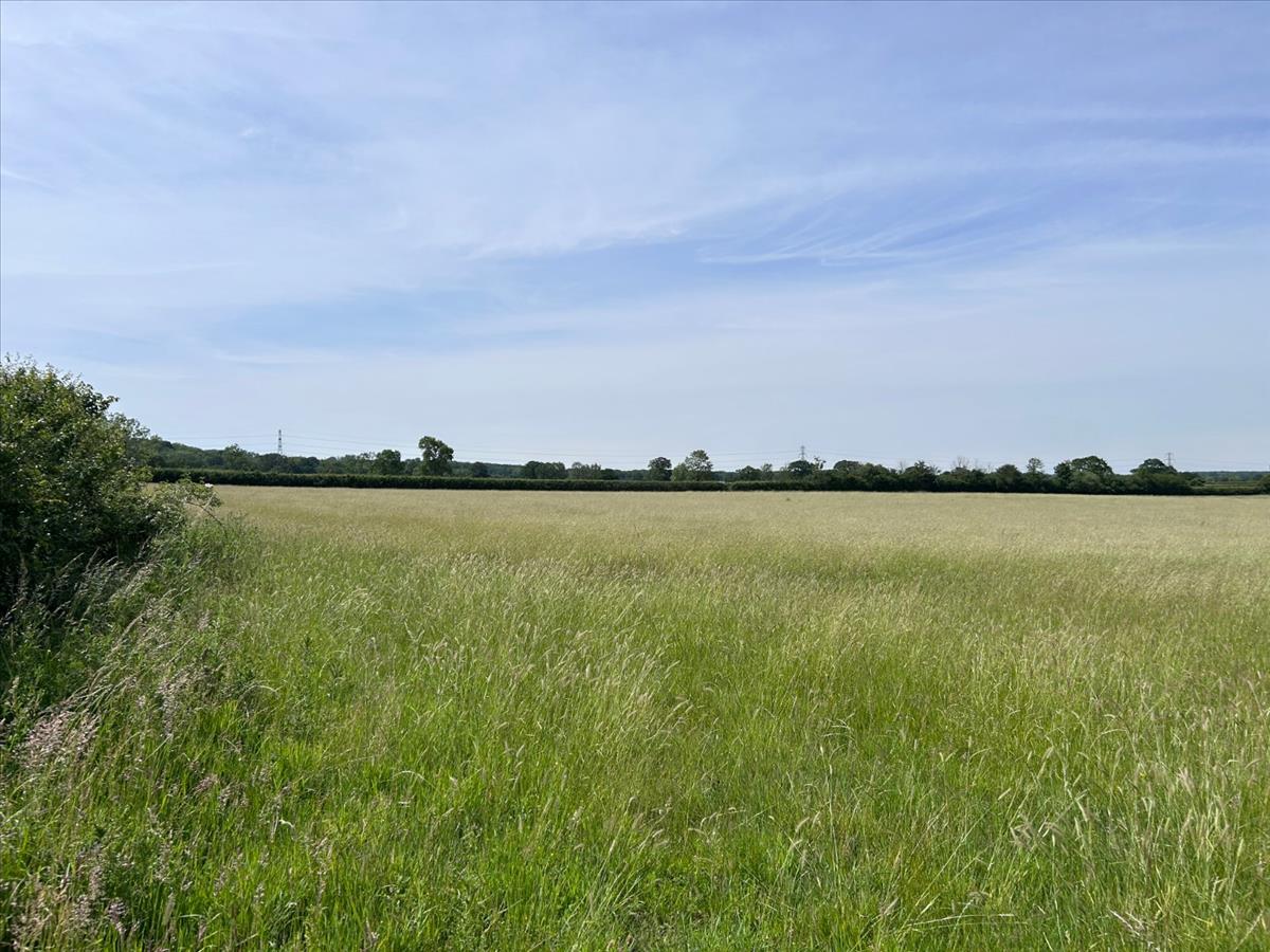 Property Image 765588f4-1579-493e-89f0-7c2d1d17de00