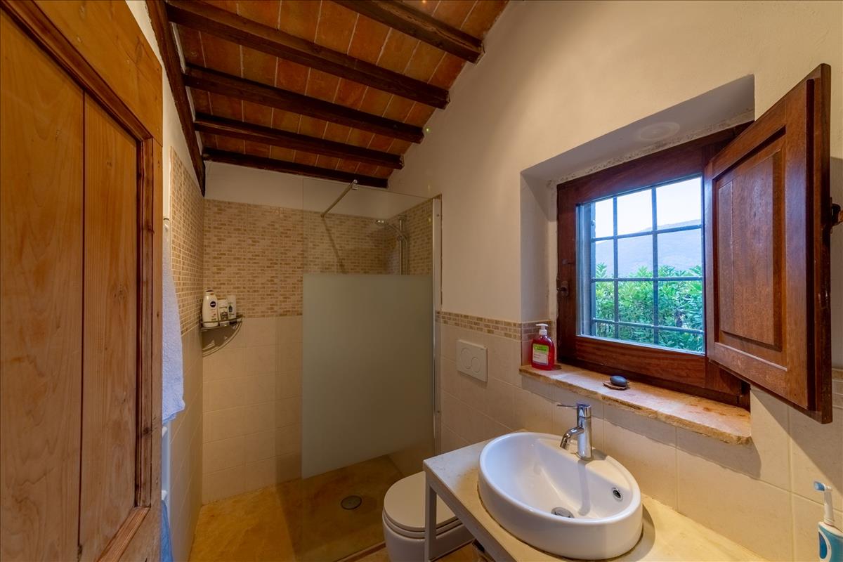Property Image 7671985e-a955-4810-97d6-56ebe5e9fefc