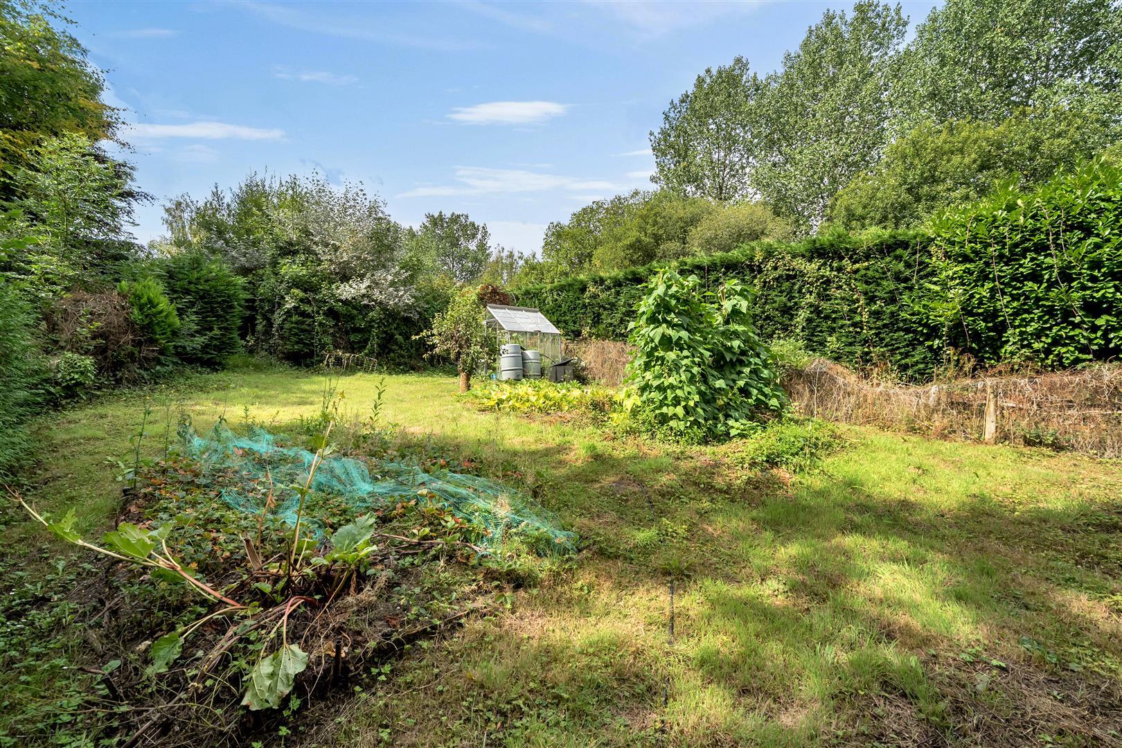 Property Image 76bd3f2e-7cbd-4184-abde-eb6d0e815ec8
