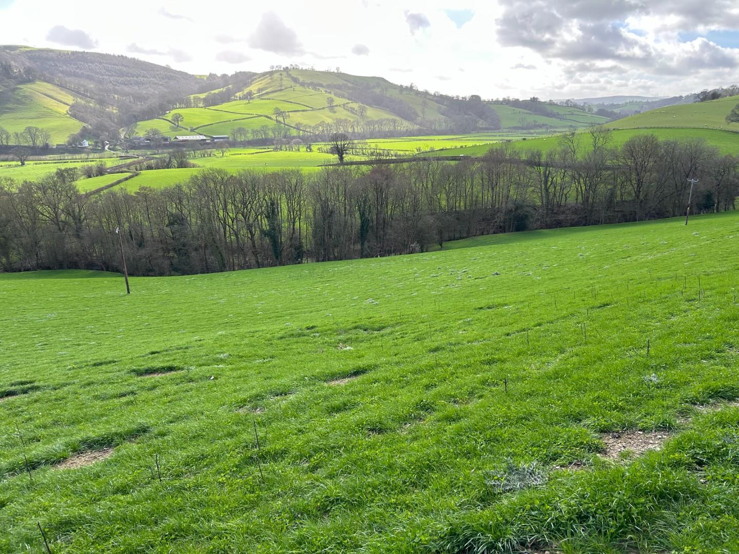 Property Image 76e1393f-c87f-44a2-bded-fd09427fe7ed