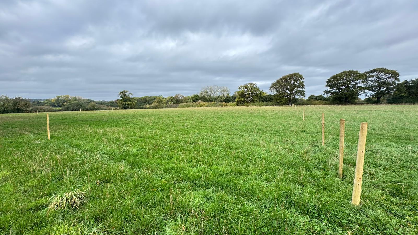 Property Image 76f1e380-152f-4f1d-810e-173e3ff4ef13