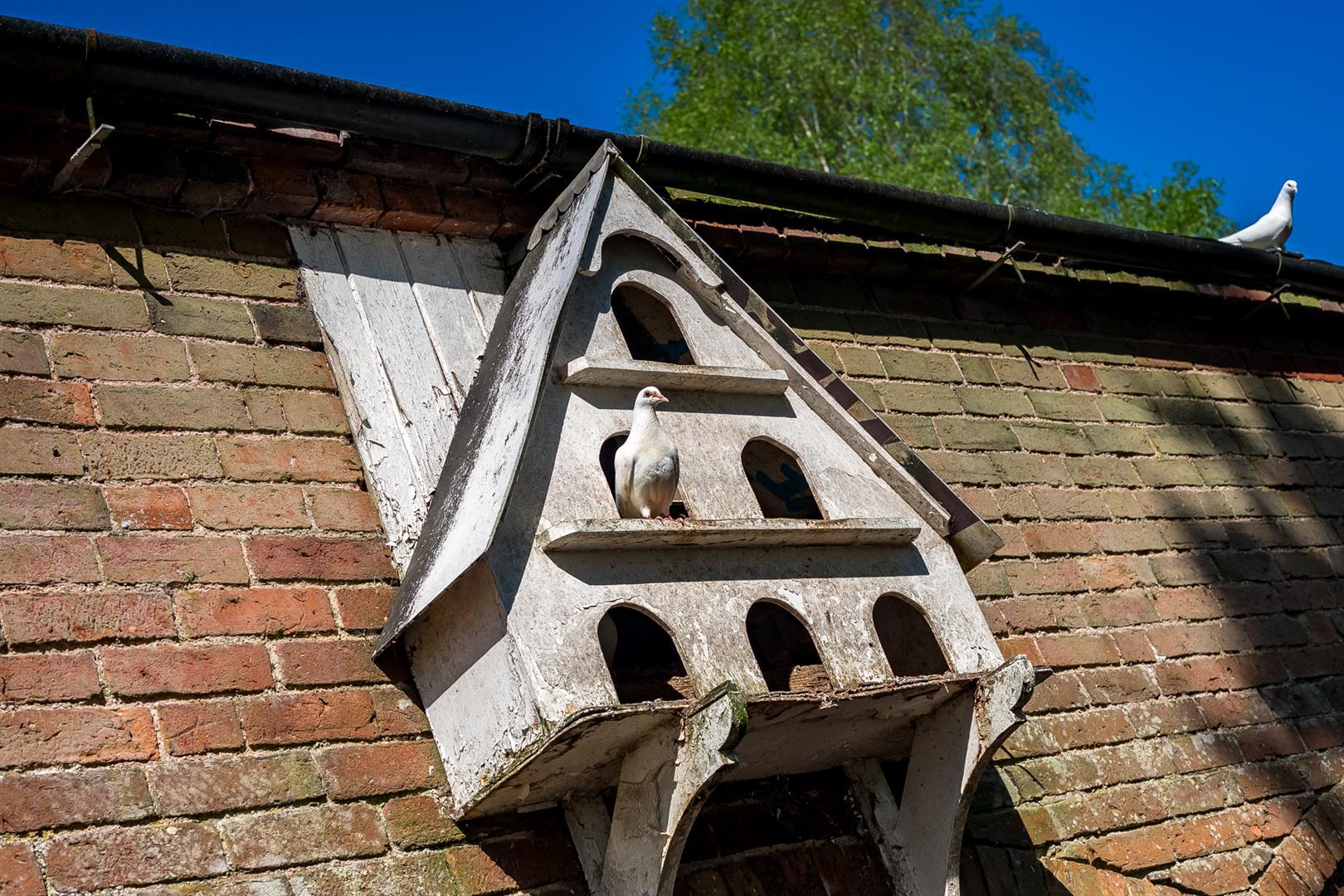 Property Image 76f3e9bf-a73f-42a1-aa52-df76a81fd09b