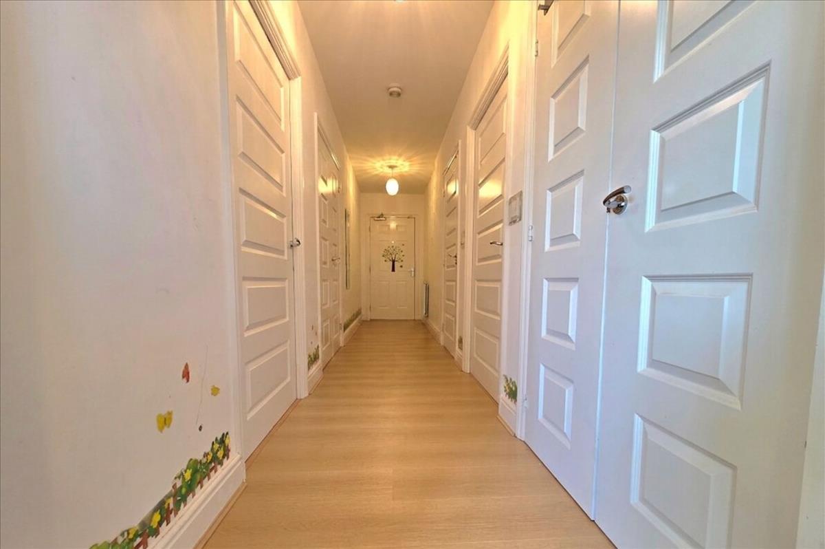 Property Image 7734c542-24bd-413b-b532-7bc5d78d9b85