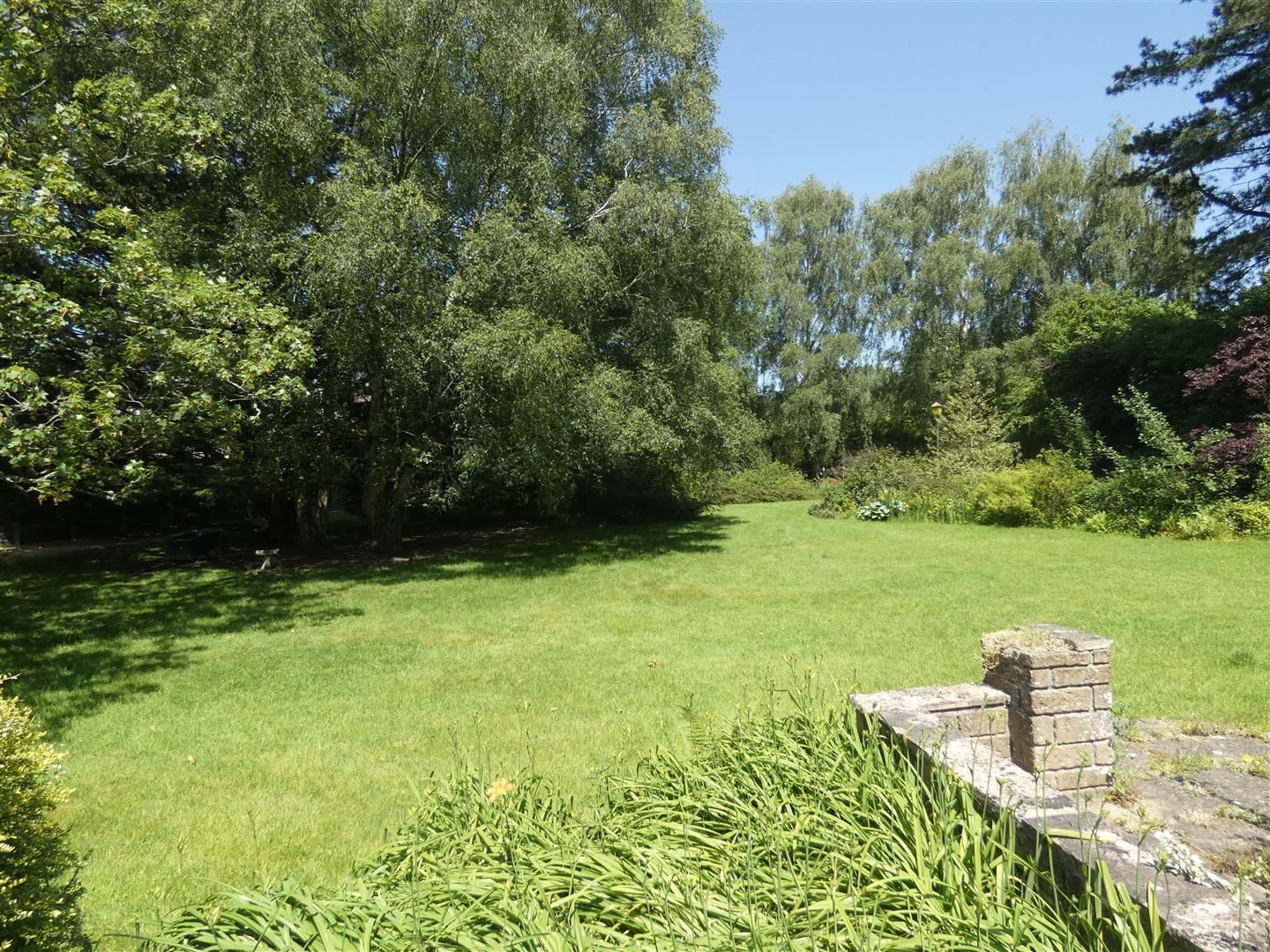 Property Image 7748b554-1572-47be-b445-2e0ada6ad13d