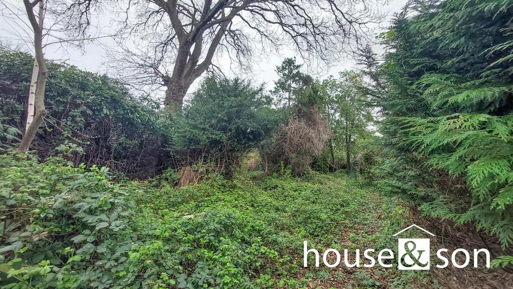 Property Image 776a3218-35a1-4469-a061-47364ffbc2b6