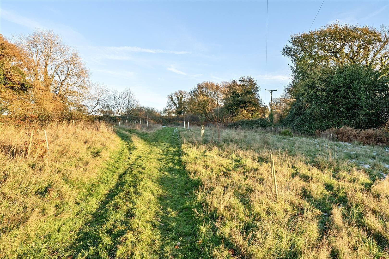 Property Image 7775c423-a06f-40f2-902b-b3edfbd8697d