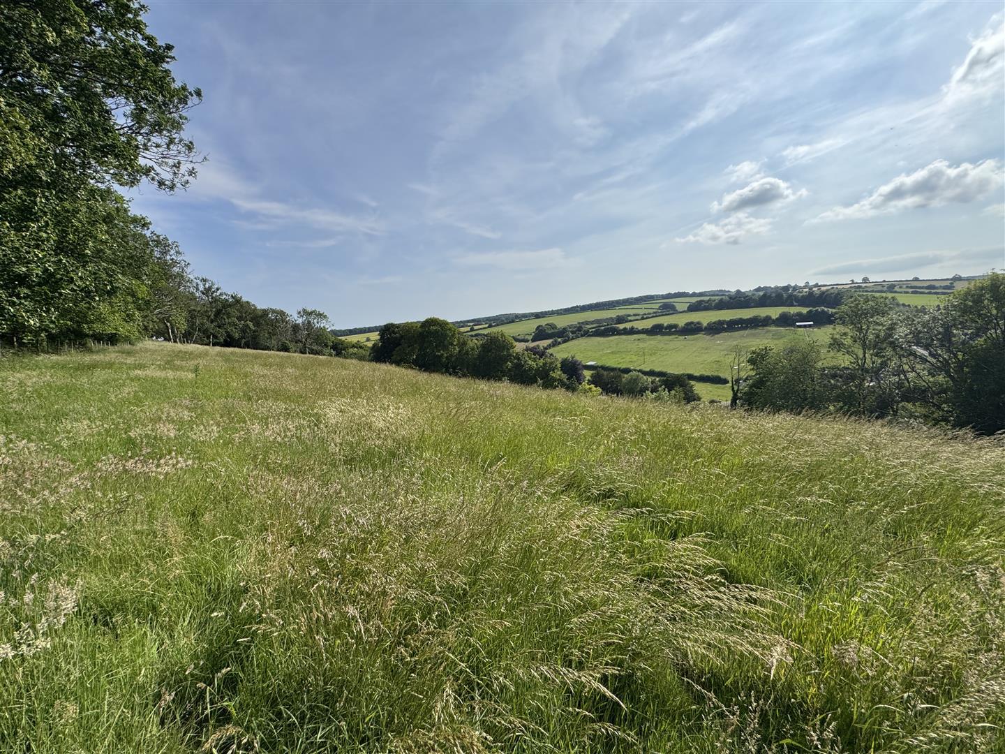 Property Image 77776e76-7a33-4a0a-8cb2-17e66a648789