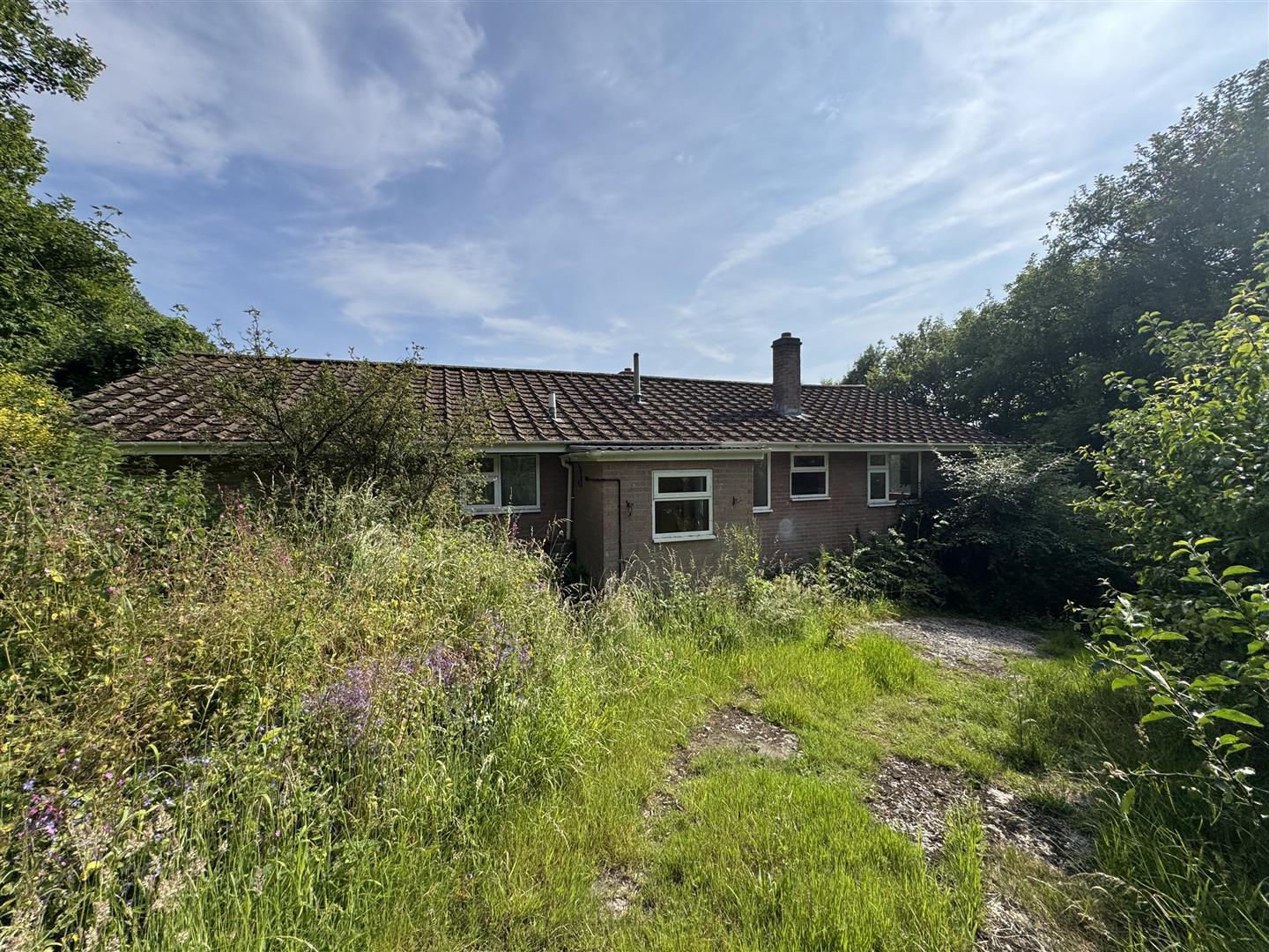 Property Image 77809fbe-e0f5-45b2-89de-3ec321d2ee9c