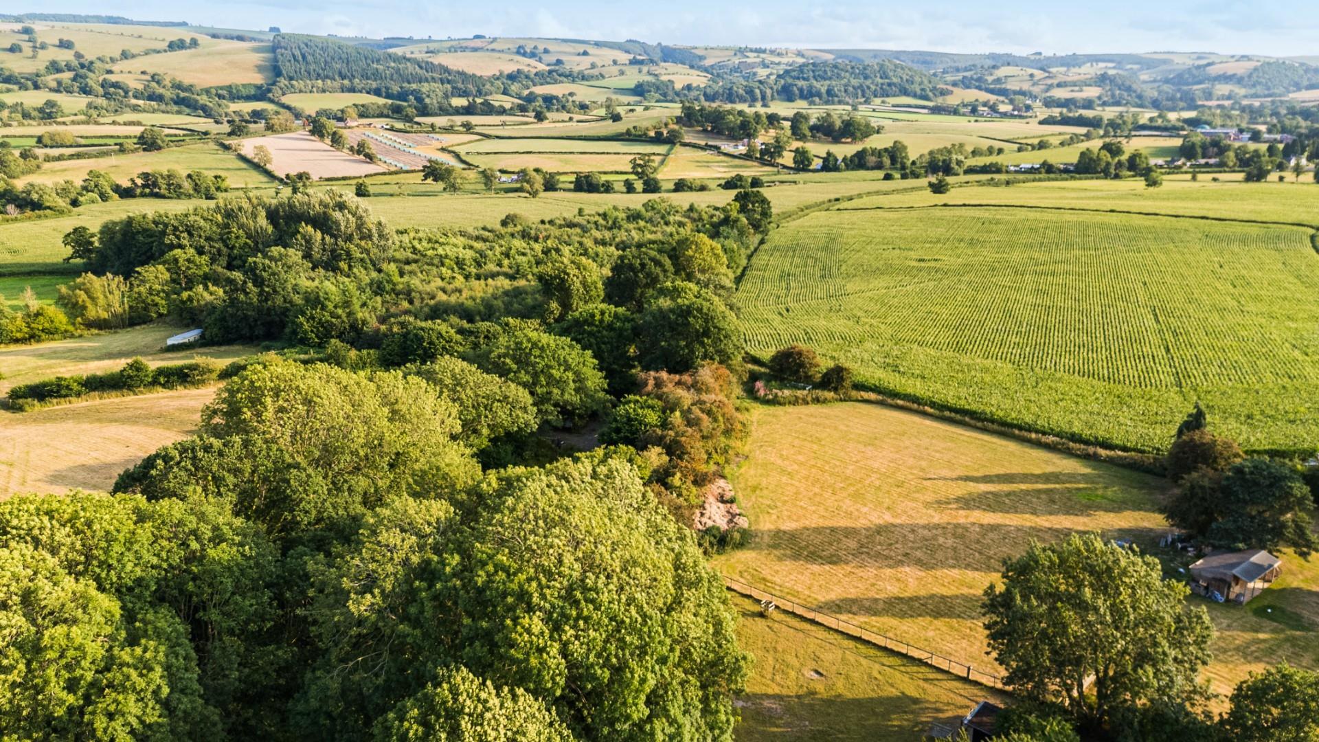 Property Image 77c5ccb2-7228-4189-b3c6-f7b1eeb36c9c