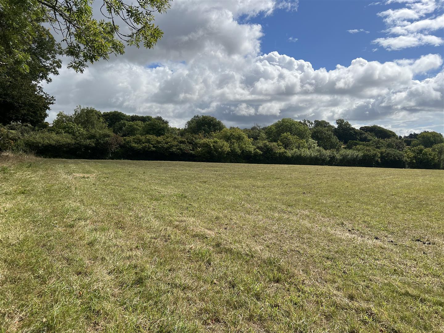 Property Image 77ddab86-da8b-42c8-ad07-1ac9c46c9e15
