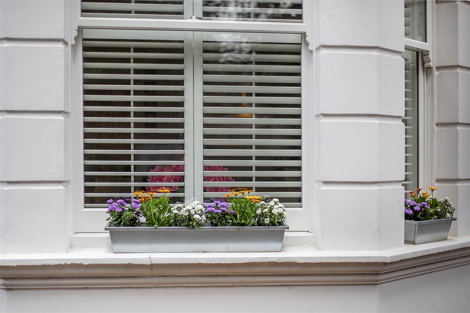 Property Image 77f80ad8-0a08-4fa8-bb1e-74b72b3d75fa