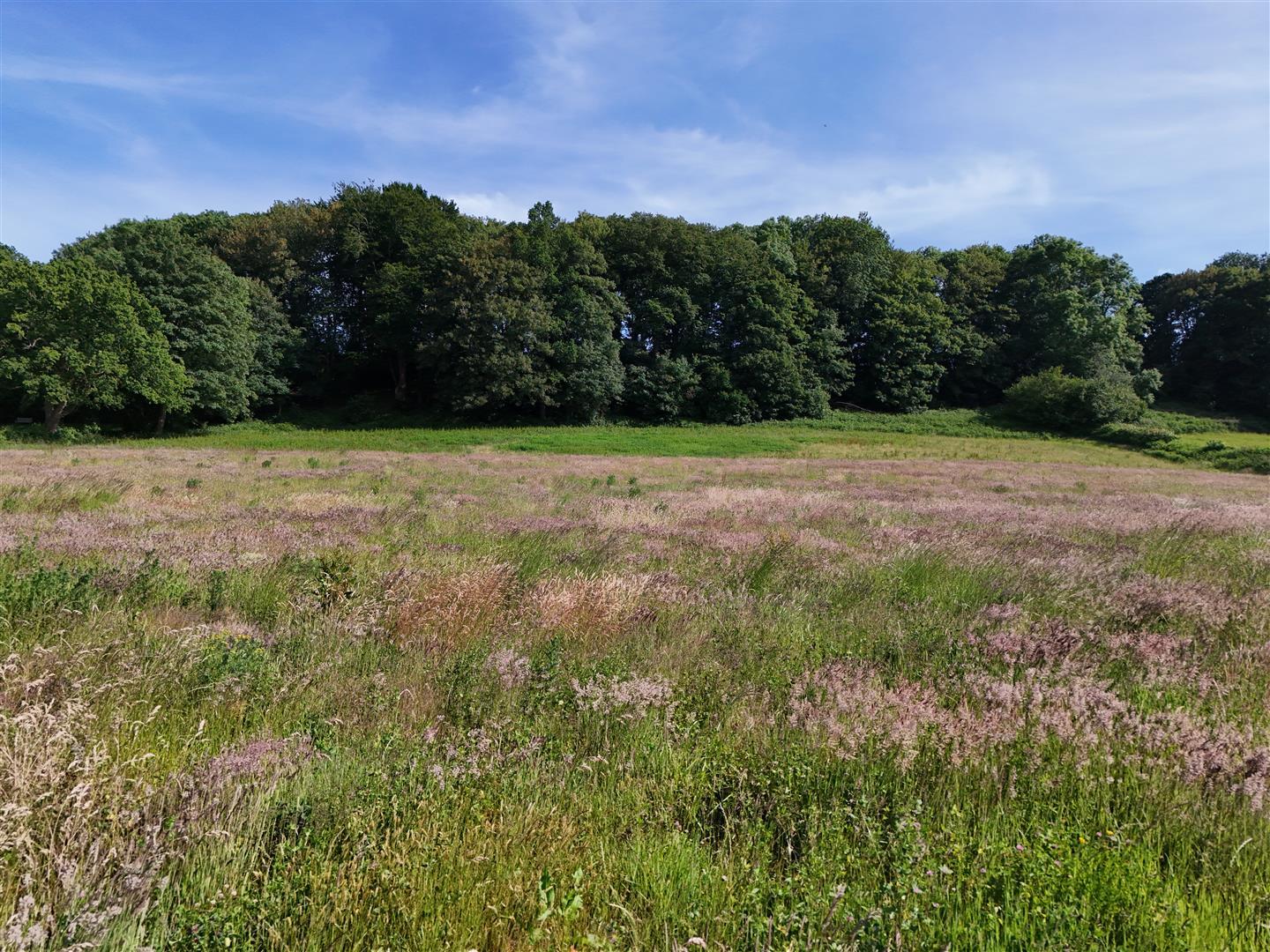 Property Image 77feab15-898d-49fa-b097-22a3822b4ffb