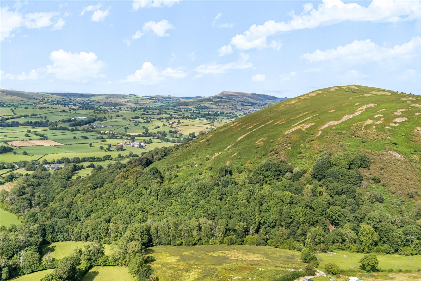Property Image 7808c42e-bb02-4683-b26e-98ff4d527986