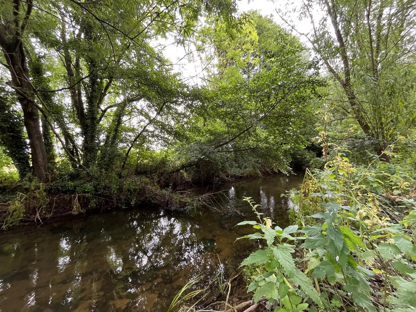 Property Image 782103e5-7e6a-4ad8-b8b8-2c4c9157c9cb