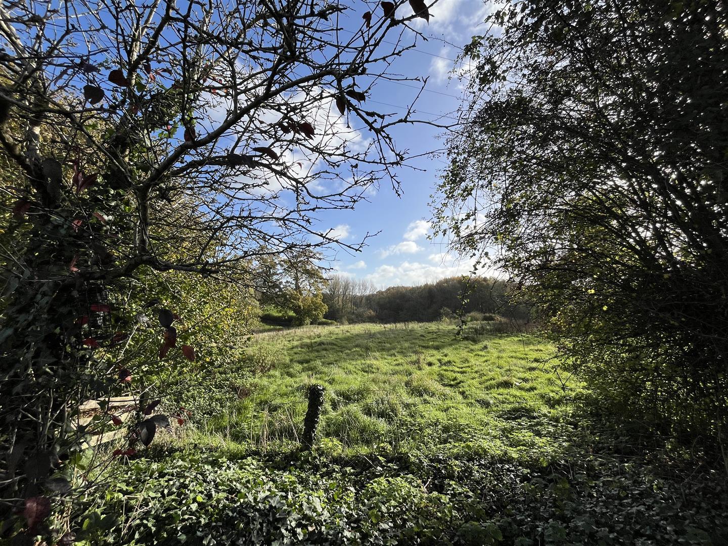 Property Image 783e0779-30be-41f8-a468-a4316bcaf975