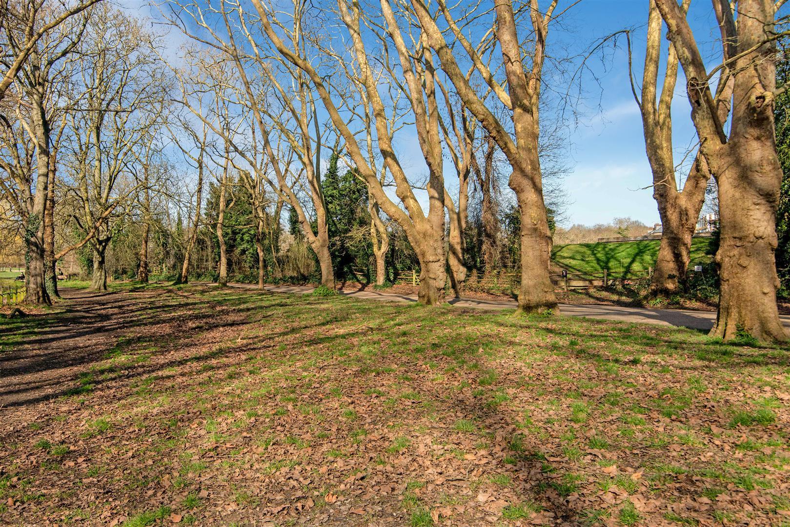 Property Image 784cd11d-b790-4c27-8cc1-732a834179fc