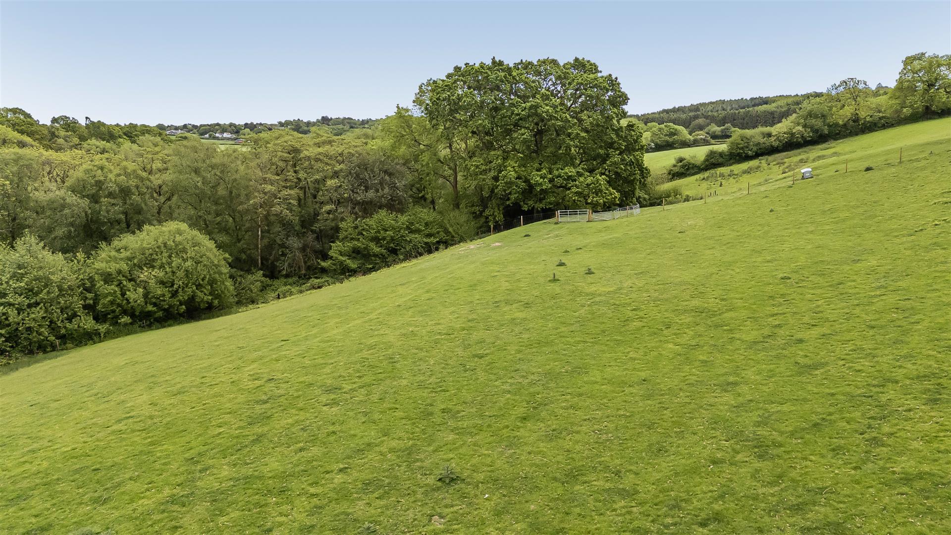 Property Image 787a96f1-4b29-4fb1-97f9-10763f256114
