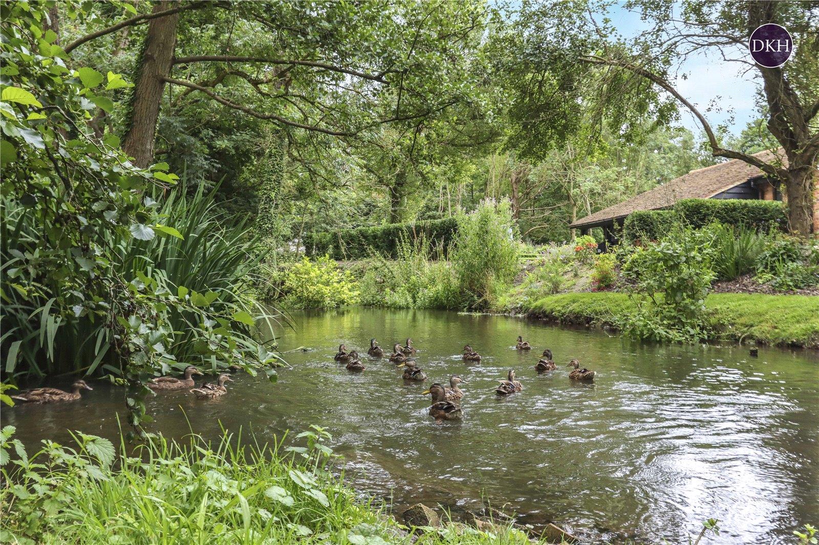 Property Image 78c8b57e-1961-498d-8e76-77094c554365