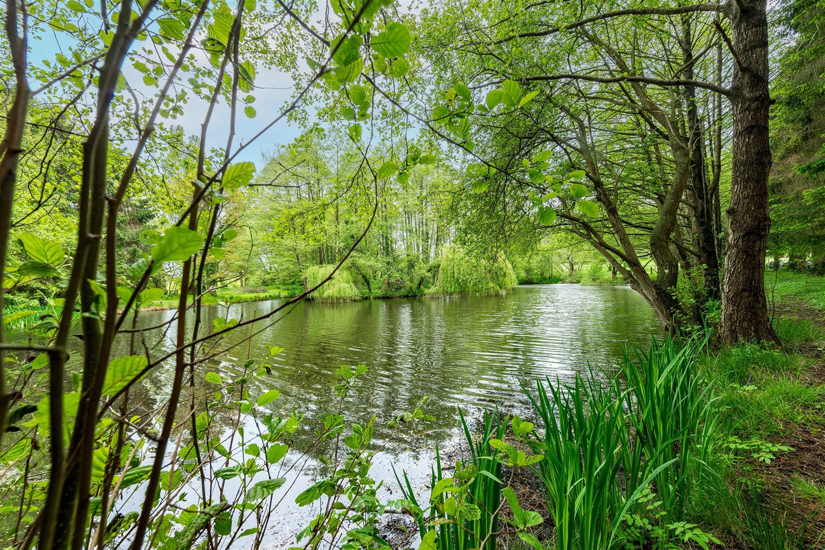 Property Image 7958364e-cd76-4483-a11d-c84b4d5db90a