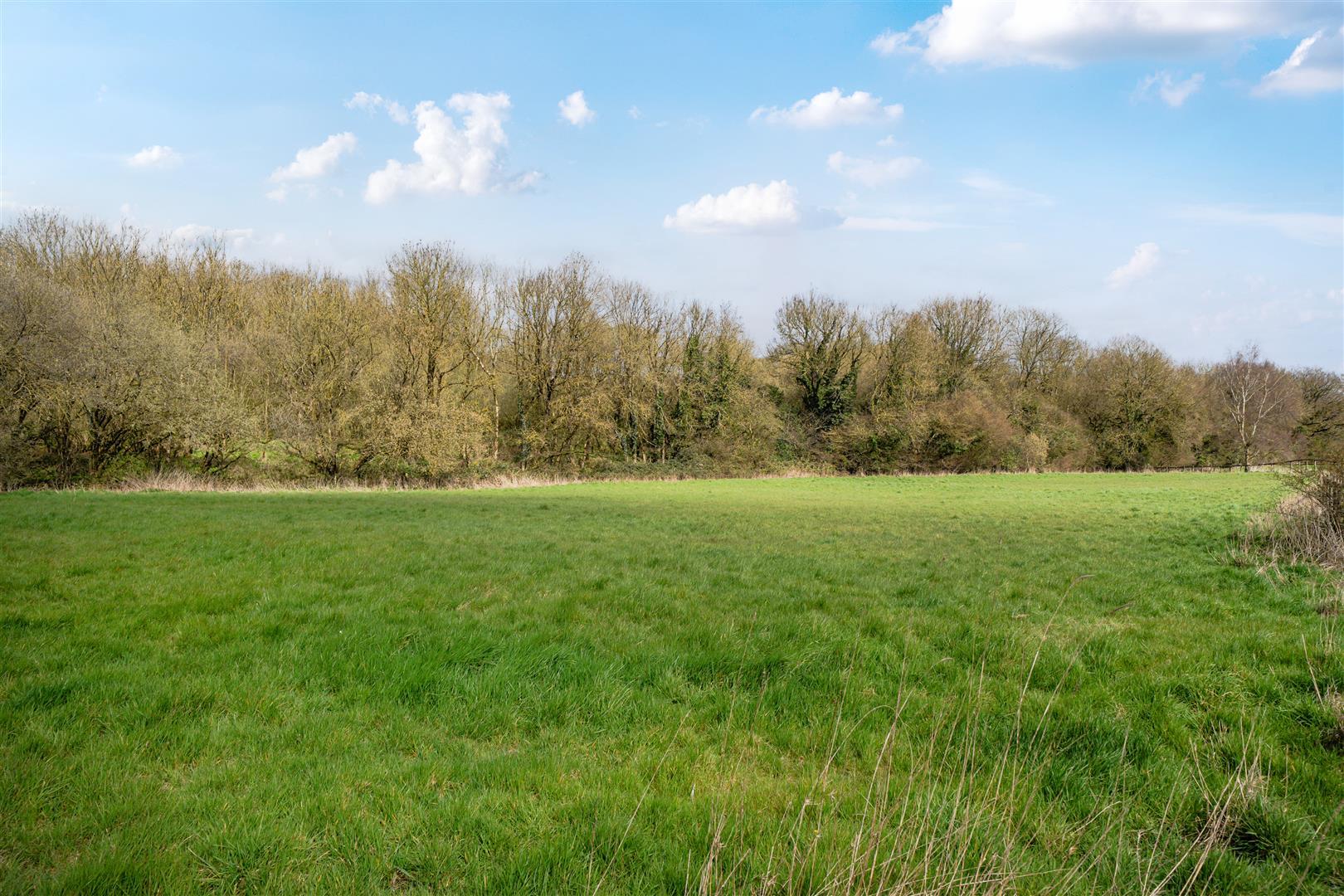 Property Image 795a081f-141e-4bb4-85df-4226247fb4d8