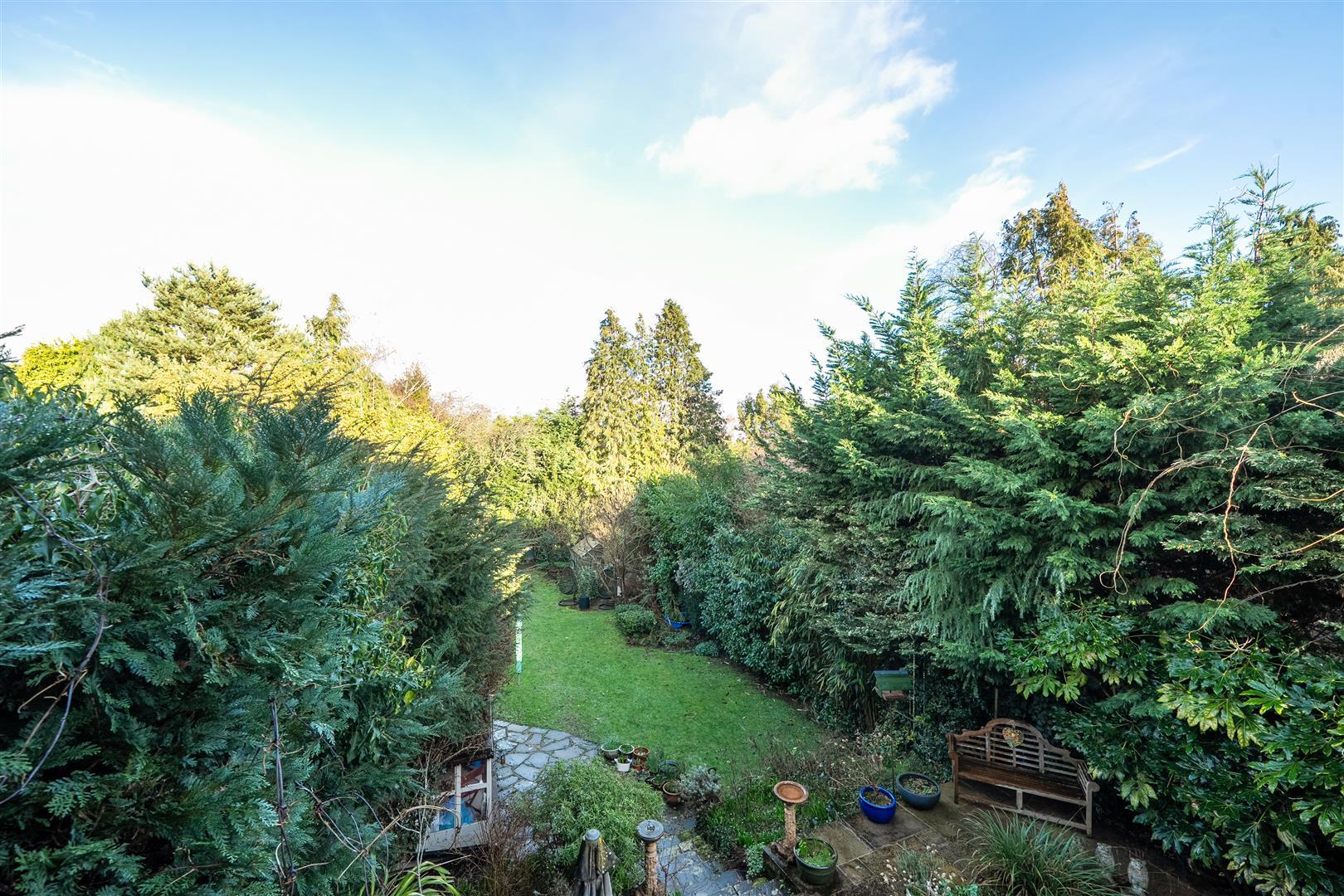Property Image 795d9736-a4b9-49ad-9e09-96fe32e8b566