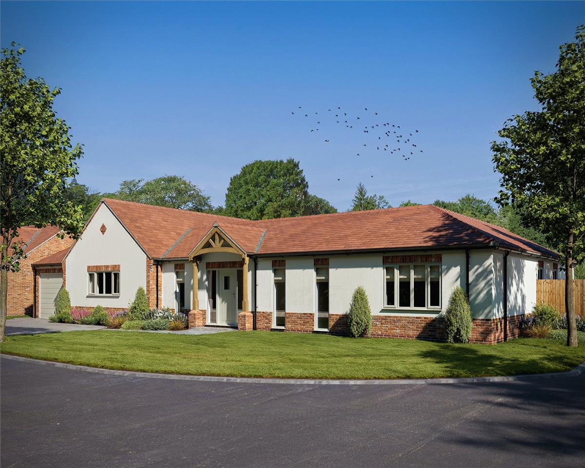 Property Image 7979c0ad-e474-4f64-8257-672674ef7f69