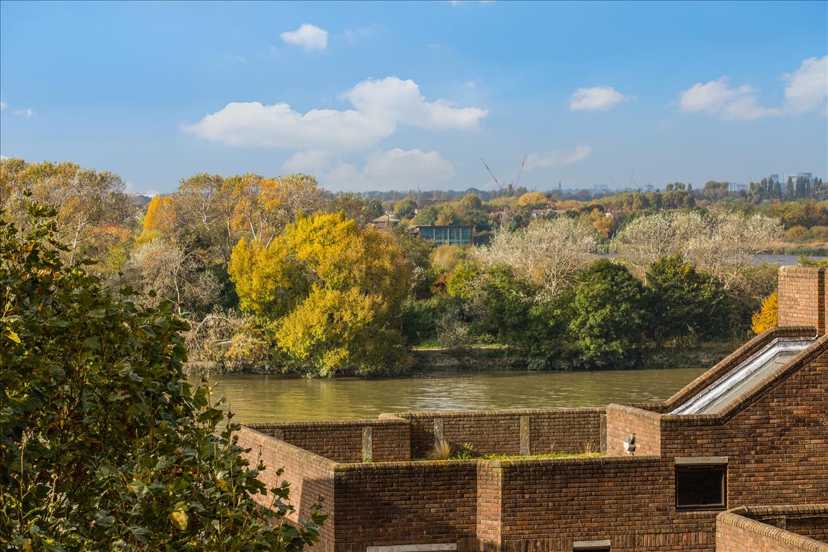 Property Image 79a077ce-80c9-4e13-9da7-bd31410312ed