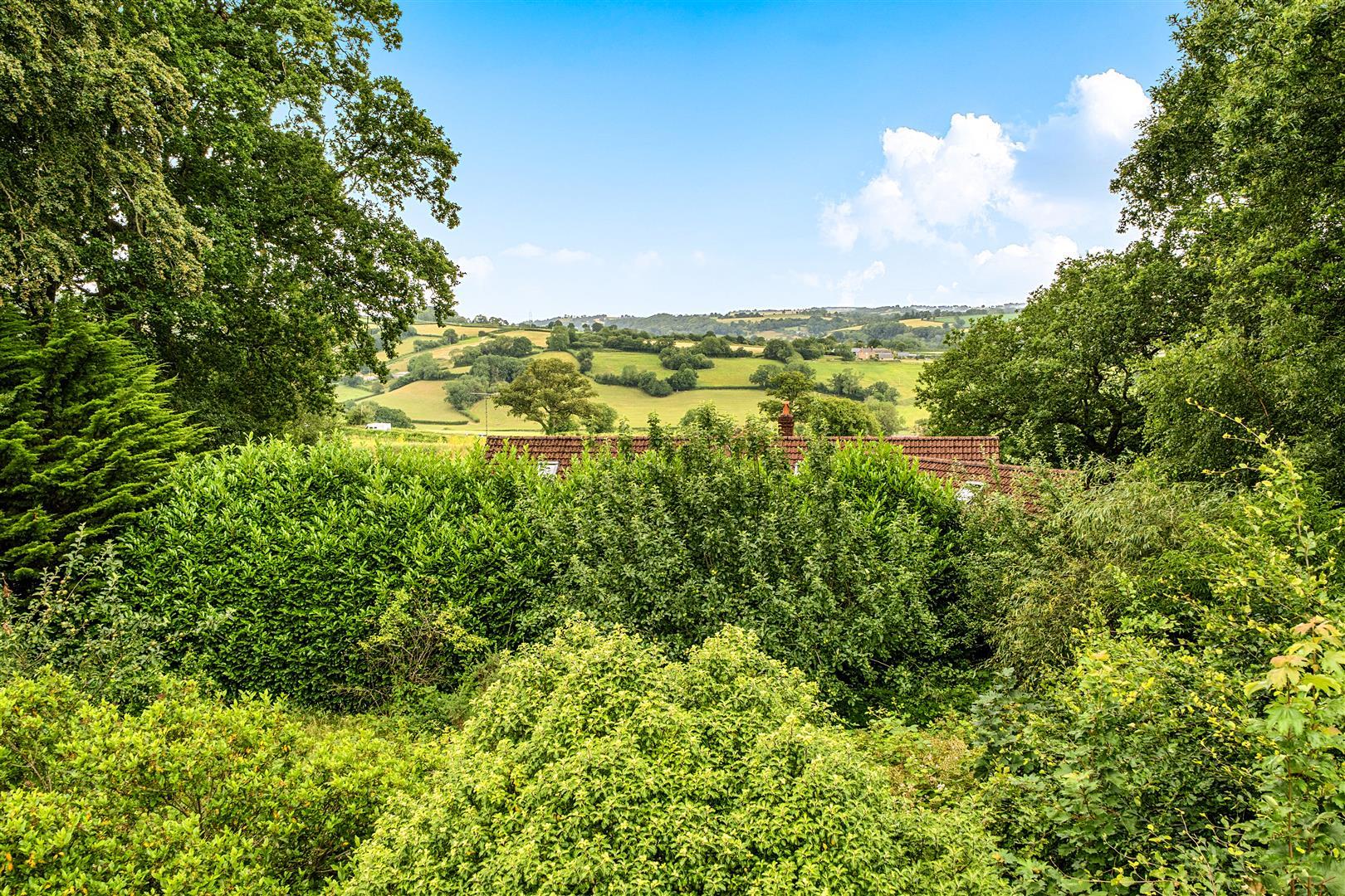 Property Image 79a7f100-67d4-480c-95d5-875e596f4585